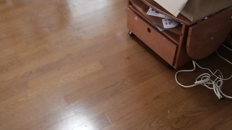 広島市ゴミ部屋4
