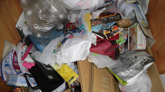 高知ゴミ部屋B1